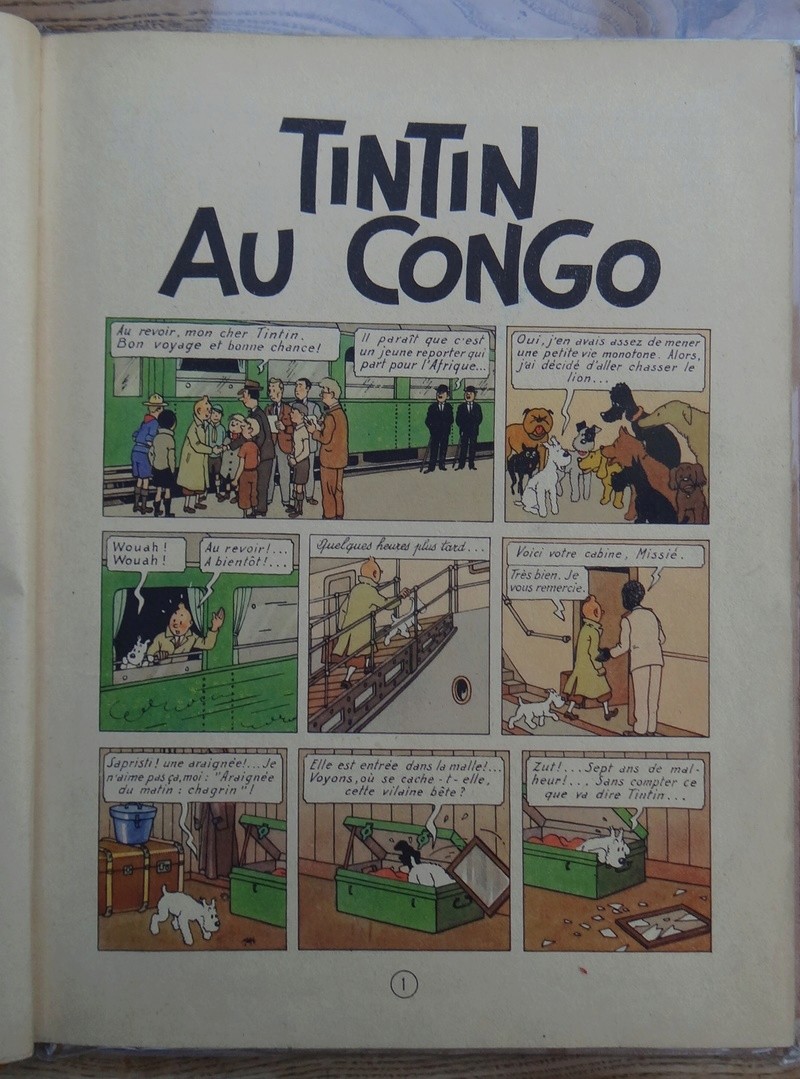La grande histoire des aventures de Tintin. - Page 36 Dsc03515