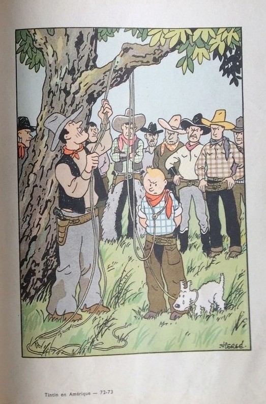 La grande histoire des aventures de Tintin. - Page 35 Eo_ame14