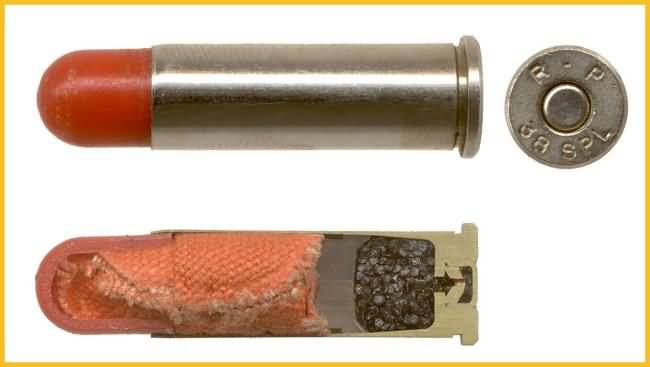 Exotic Ammunition Short_10