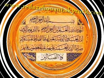 فى ذمـة الله المرحومه الحاجه : أمينـــــــــه محمـــــــد محمـــــــد المليجــــــى 1all117