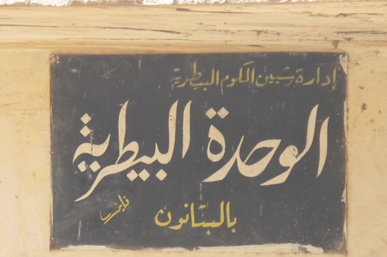  أهـلا بكــم  فى بلـدة  البتانـــــون (2) 7310