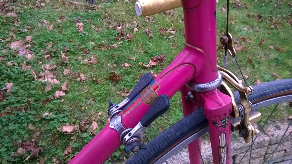 Mercier rose 1974 Wp_20141