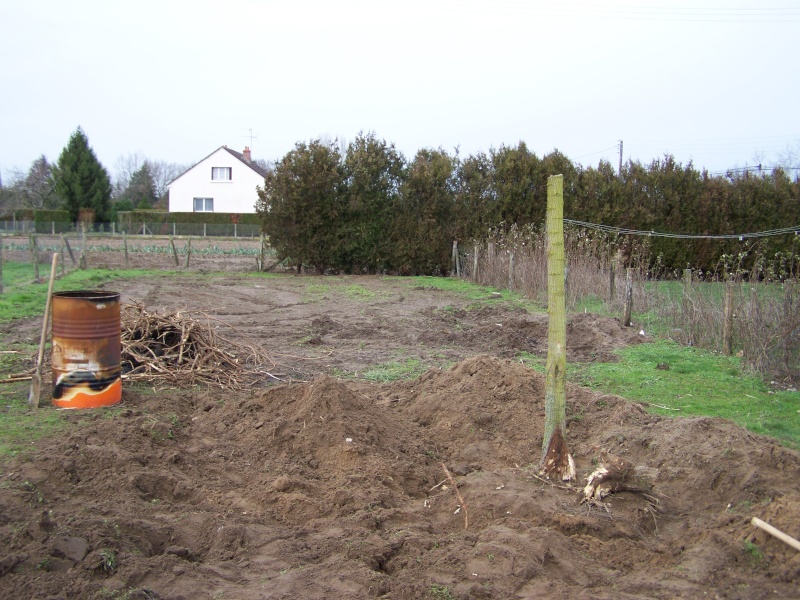 présentation de mon nouveau jardin 100_2110