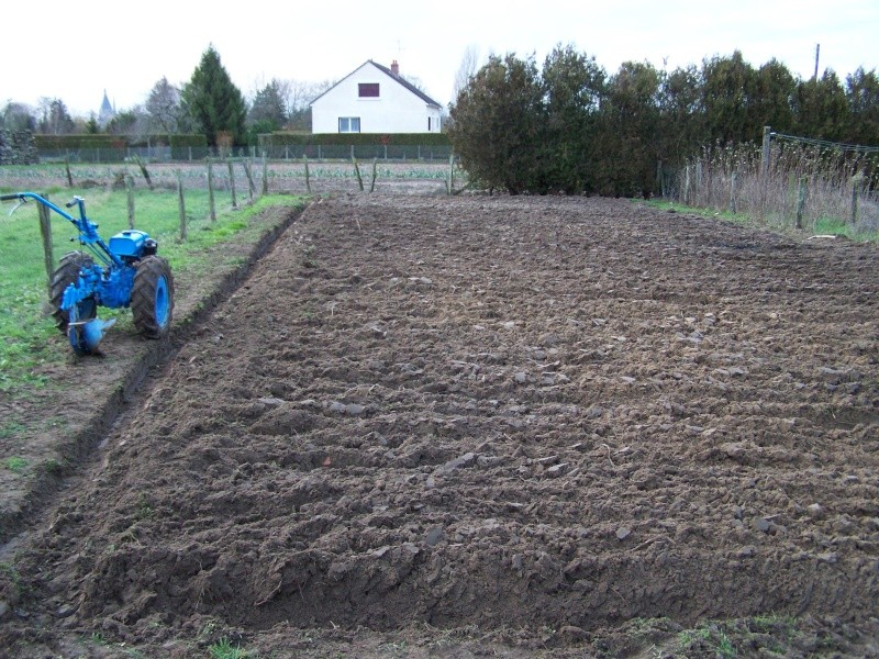 présentation de mon nouveau jardin 100_2116