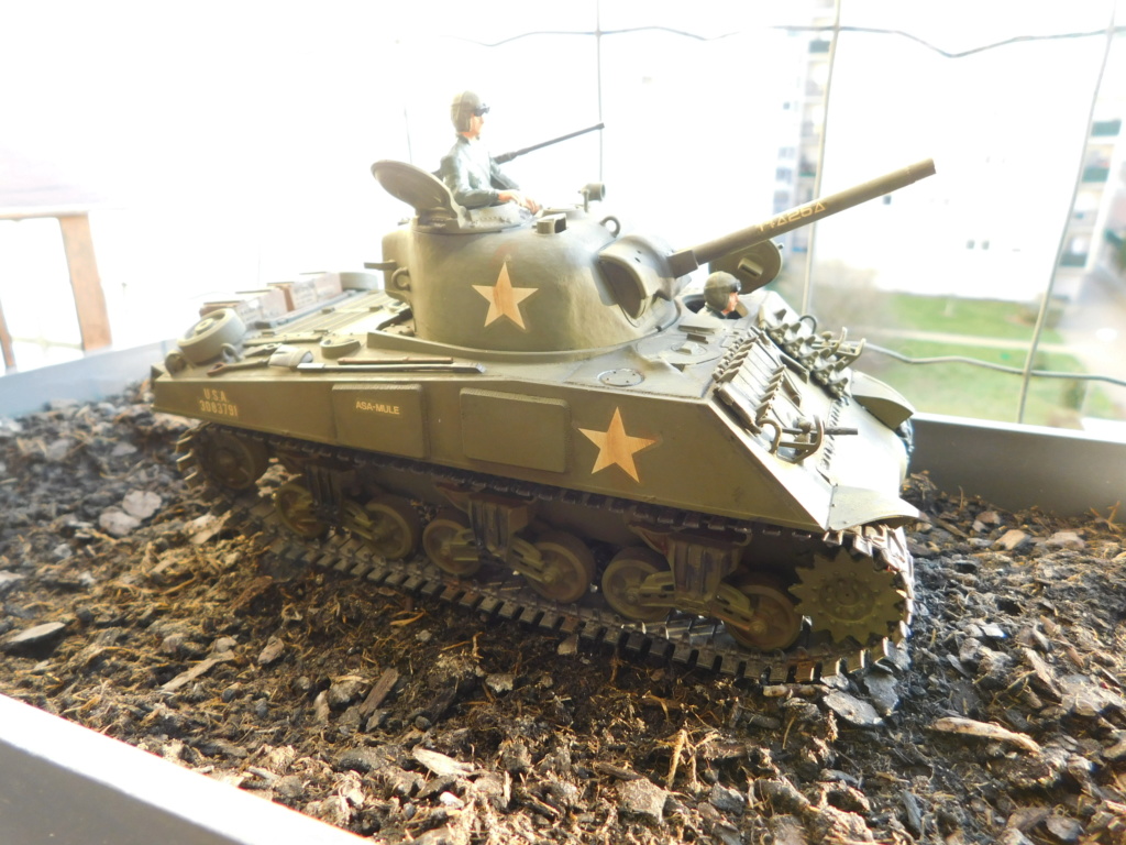 [TAMIYA] M4A3 Sherman (Tamiya 1/35°) Dscn6710
