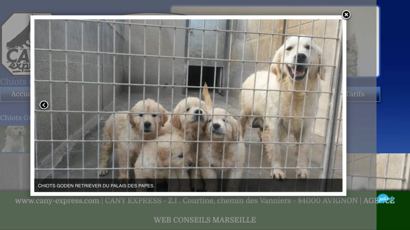 On se retrouve ici entre futurs adoptants ! - Page 41 Img_4812