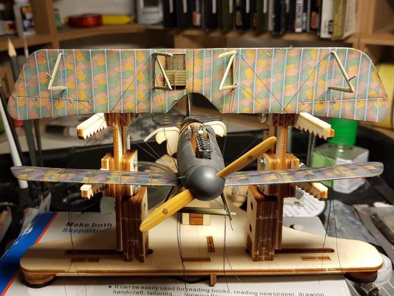 Albatros D.Va (Eduard 1/48): je lâche l'affaire... - Page 2 Albatr22