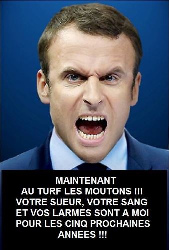 Bonsoir à toutes et tous Macron82