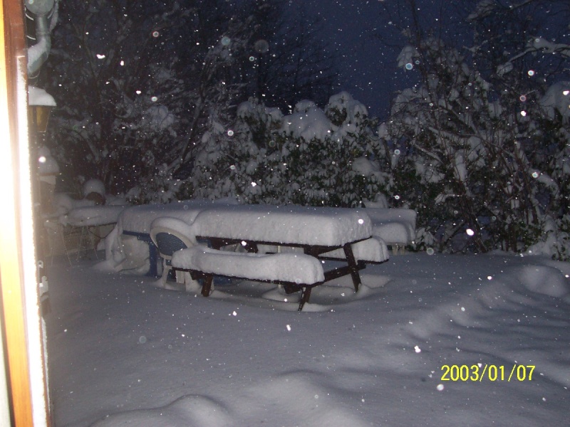 KAWA en TERRASSE : ça neige, ça neige - Page 2 100_3612