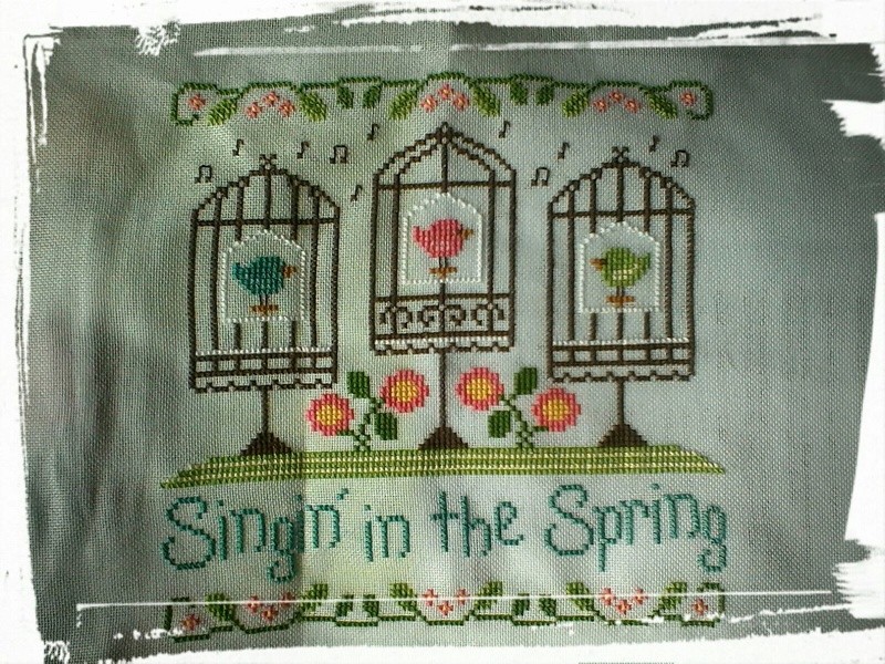Singin'in the Spring CCN Fini Singin13