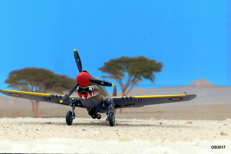 [Academy] Curtiss Kittyhawk III alias P-40 M P1010613