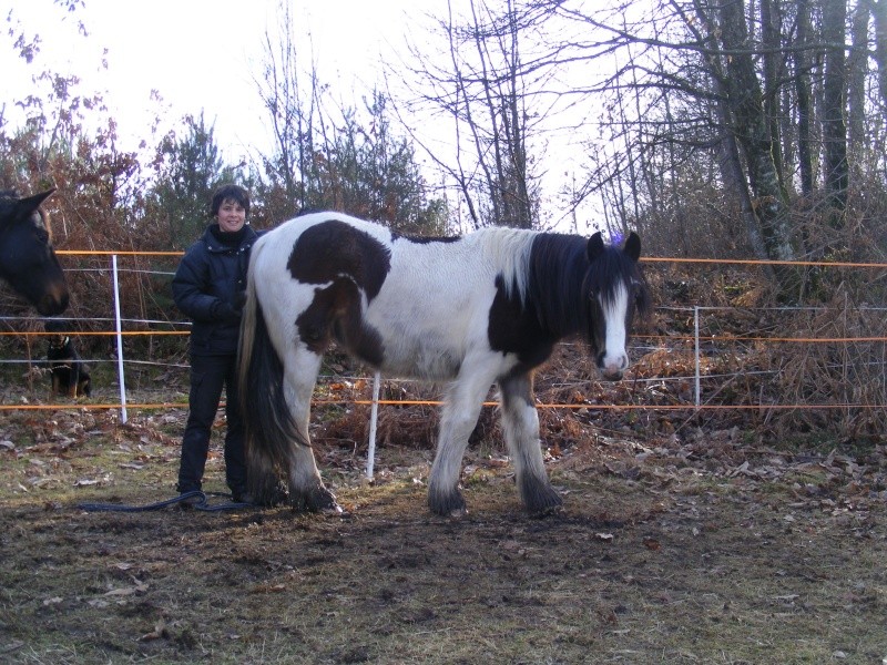 Tommy et son Copain ! Ush et sa copine ! Photo_18