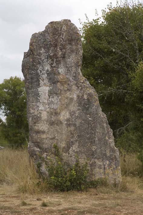 Le menhir de Bélinac (Lot) Menhir14