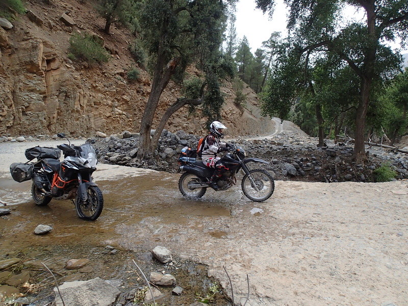 Haut Atlas de Marrakech a Figuig - Juin 2017 P6080220