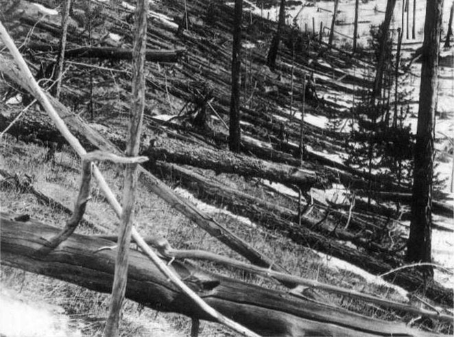 Gigantesque explosion en 1908 au dessus de la Tunguska (photo + vidéos/témoignage/documentaire) 1928_s10