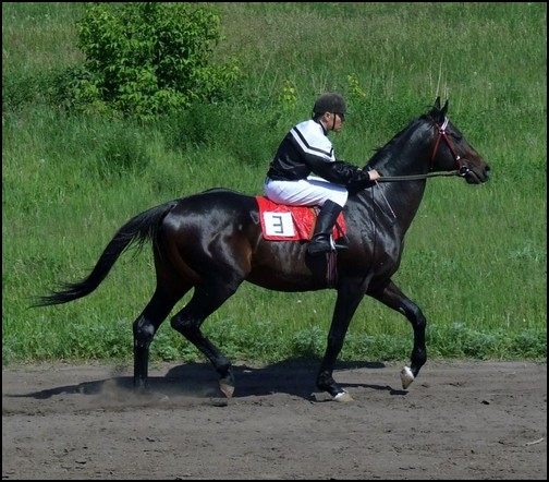 Entraînements & Sorties [Janvier] 0fc85c11