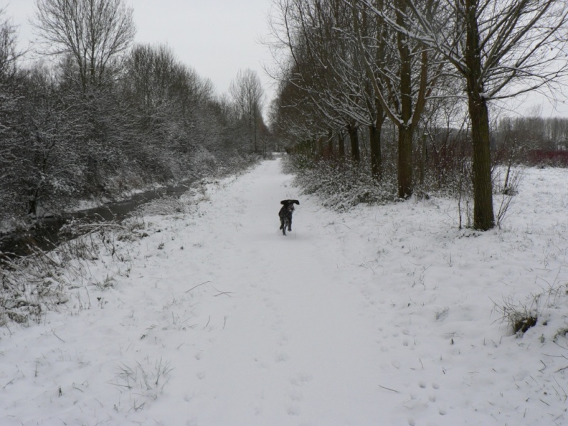 Eddy dans son jardin d'hiver Jardin10