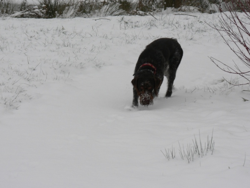 Eddy dans son jardin d'hiver Jardin13