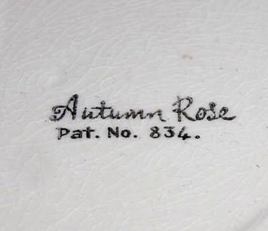 Autumn Rose Pat.No.834 Autumn11