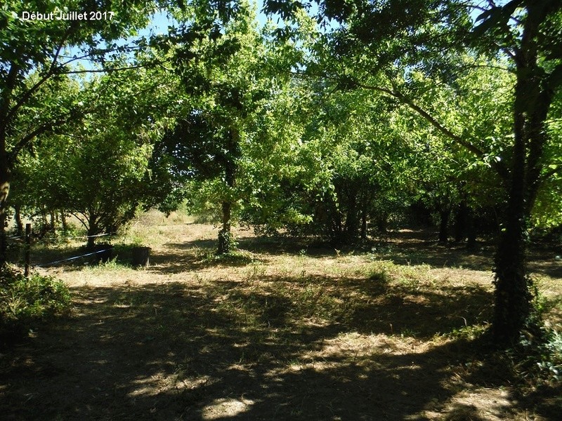 JdB de 4 hectares de pâtures dans le SUD : petit bilan - Page 6 11012p10