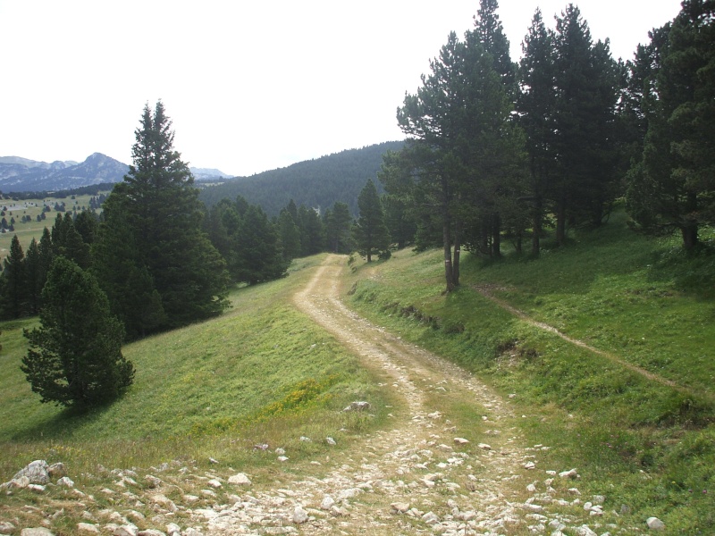 réserve des hauts plateaux du vercors Vercor15