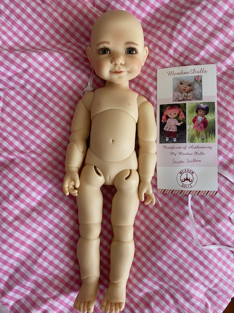 Vends : BB Bailey Meadowdolls et GeeYu Leekeworld Img_6511