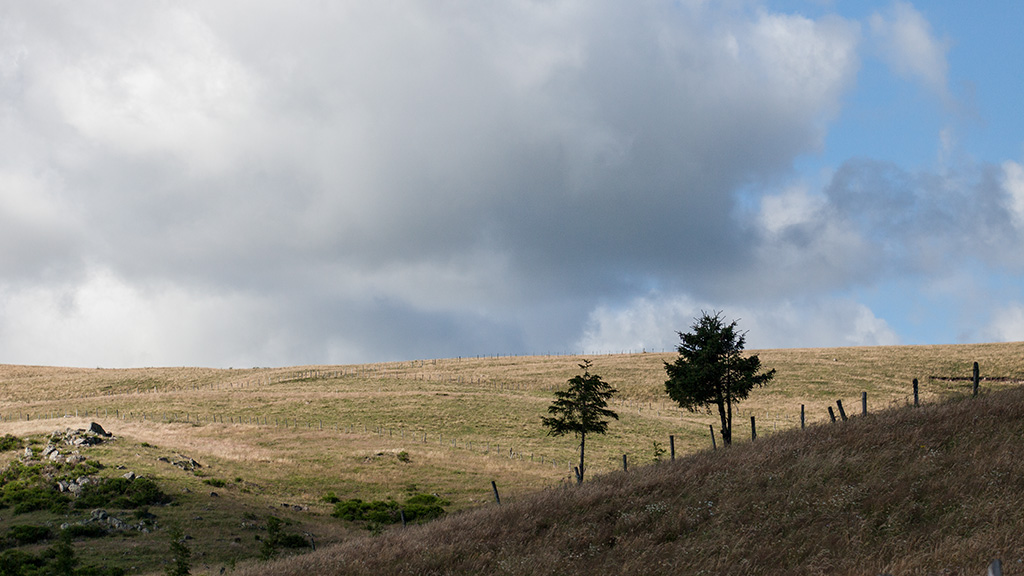 Cantal 4 ( Ombres et lumières ) Img_1712