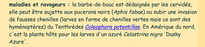 C'est qui le responsable?  Sans_t11