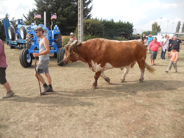 68 - Dessenheim - Fête des tracteurs le 27 août - Page 2 Dscn4134