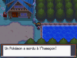 [SoulSilver] [Randomizer] La Malédiction des PNJs 03410