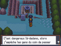 [SoulSilver] [Randomizer] La Malédiction des PNJs 07710