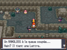 [SoulSilver] [Randomizer] La Malédiction des PNJs 11010