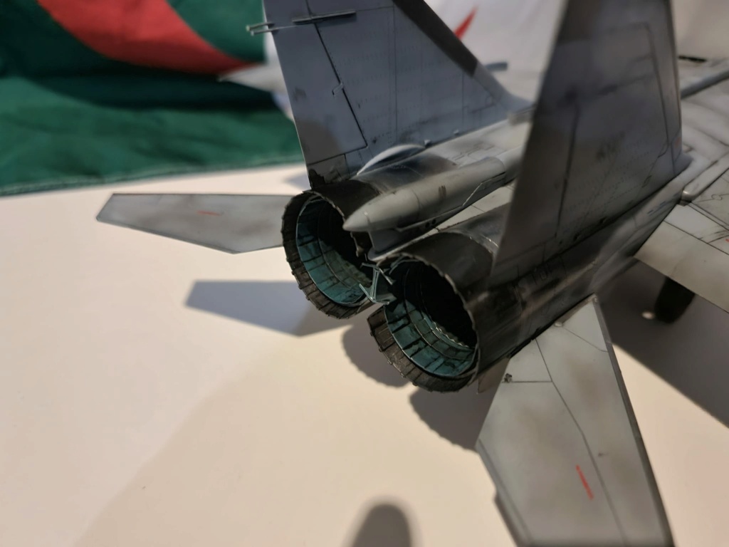 MiG-25RBV ICM 1/48 Forces aériennes algériennes  0410