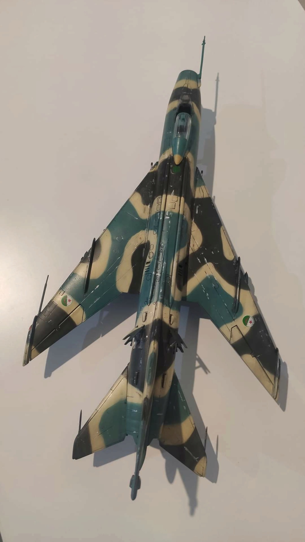 Su-7BMK Armée de l'air algérienne 1/48 Fb_img20