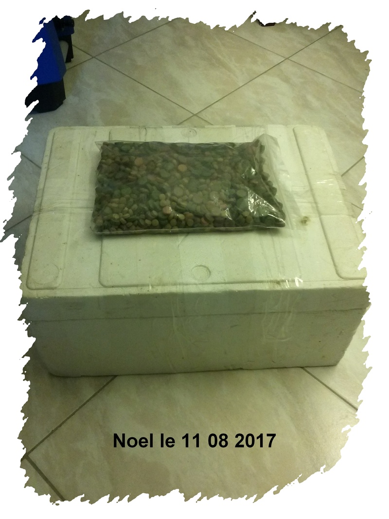 Mon ptit garage - Page 27 Noel_l10