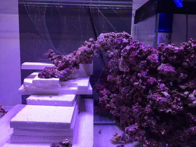 Reefscape Joris33 21389110