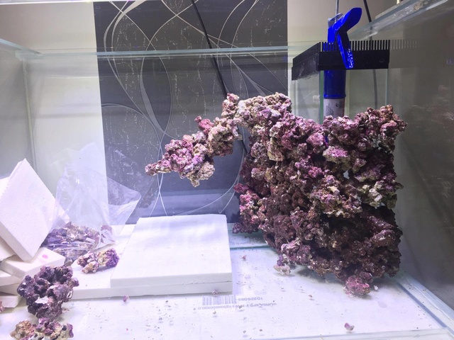 Reefscape Joris33 21439210