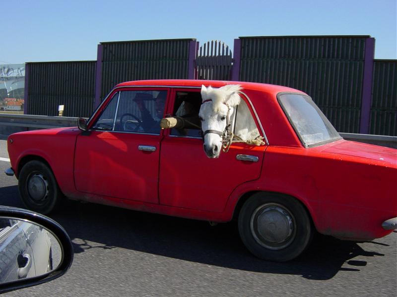 une Ferrari, c’est bien une voiture rouge avec un cheval 215