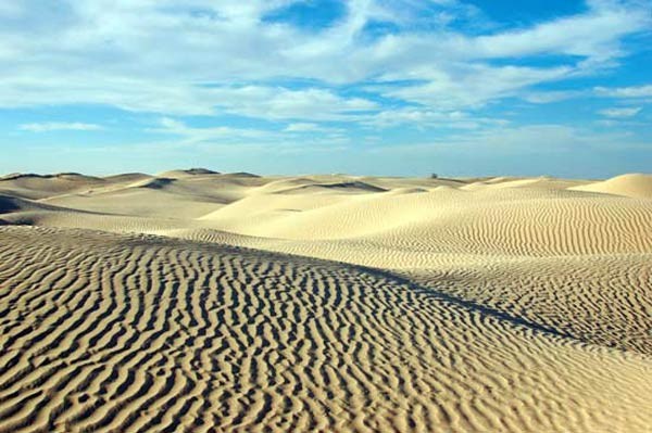 الصحراء الكبرى اكبر صحراء ساخنة في العالم  9594_210