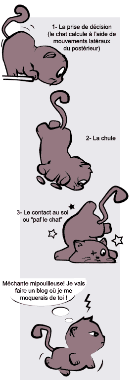 bande dessinée :   une histoire de chat  ... gris ? ......... Chaton10