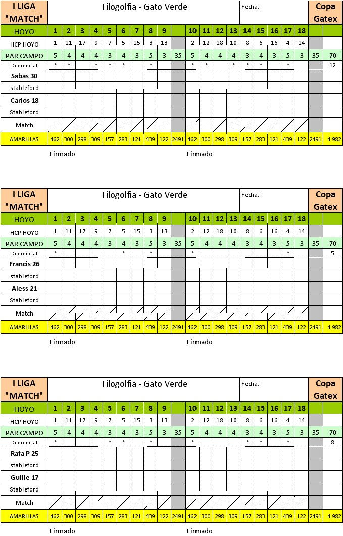 NORMAS LIGA MATCH GATO VERDE - COPA GATEX Tarjet10