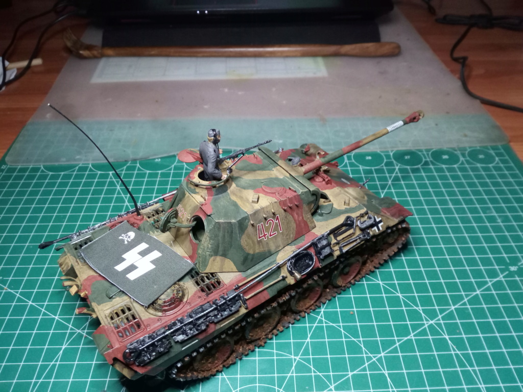 Tamiya - 35065 - 1/35 - Char Allemand Panzer 5 Img_2105