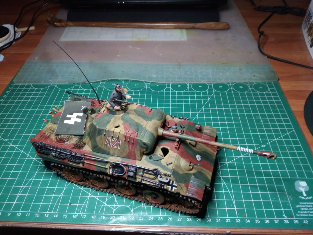 Tamiya - 35065 - 1/35 - Char Allemand Panzer 5 Img_2106