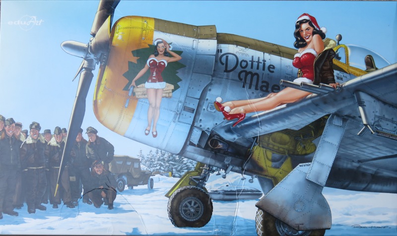 P-47D Bubble 'Dottie Mae' [Eduard (Hasegawa) 1/32] Img_4428