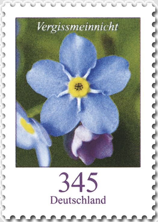 Blumengruß aus Deutschland - Dauerserie Blumen - Seite 2 3_blum10