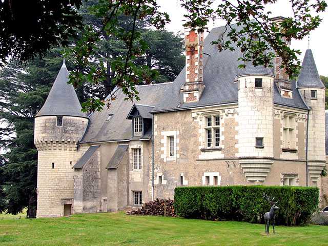 Pour vous faire rêver : un château à vendre en Touraine Un_cha10