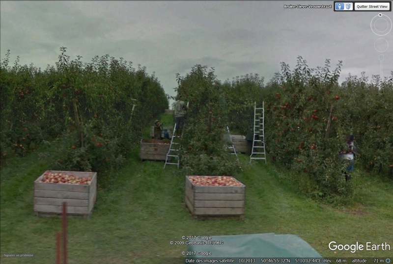 Le temps qui passe sur l'oeil de Street View... Pommes10