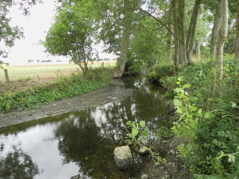 Dans l'Ouest la rivière est à sec (24/06/2017) Vauvyr10