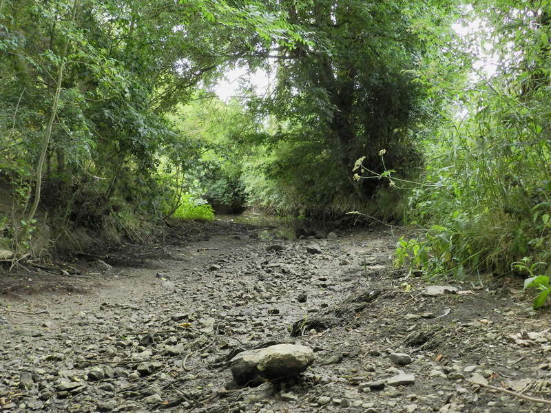 Dans l'Ouest la rivière est à sec (24/06/2017) Vauvyr12