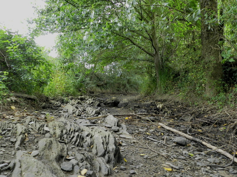 Dans l'Ouest la rivière est à sec (24/06/2017) Vauvyr18